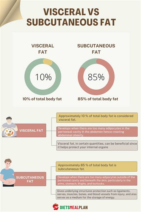 visceral fat lv|visceral vs subcutaneous fat.